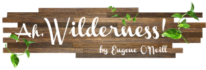 Ah Wilderness Logo